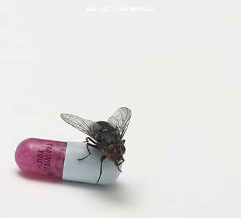 Music CD cover of a fly on a pink and white capsule with 'I'm With You' and 'Red Hot Chili Peppers' text on a white background