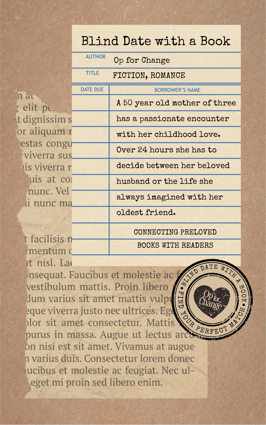 Blind Date with a Book cover with the story synopsis on a brown background