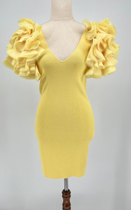 Zara Frill Sleeve Dress (size m)